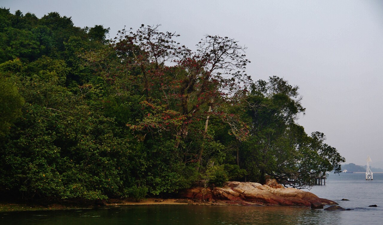 Chek Jawa Wetlands