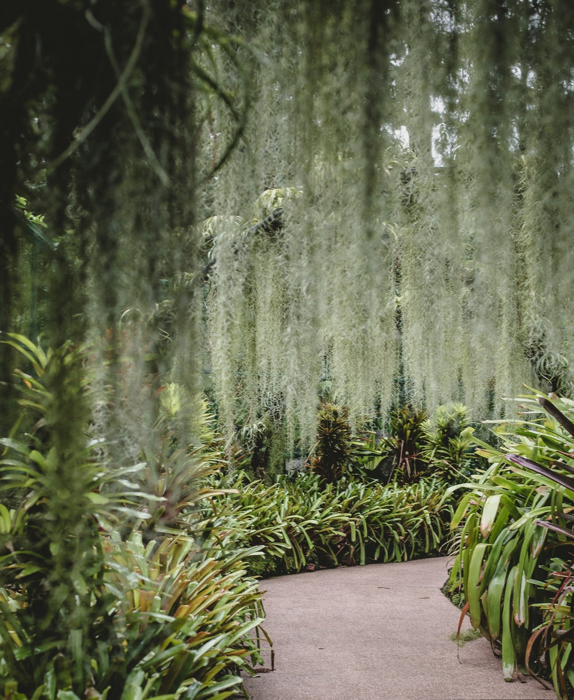 Singapore Botanic Gardens